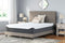 14 Inch Chime Elite - White/blue - King Mattress-Washburn's Home Furnishings