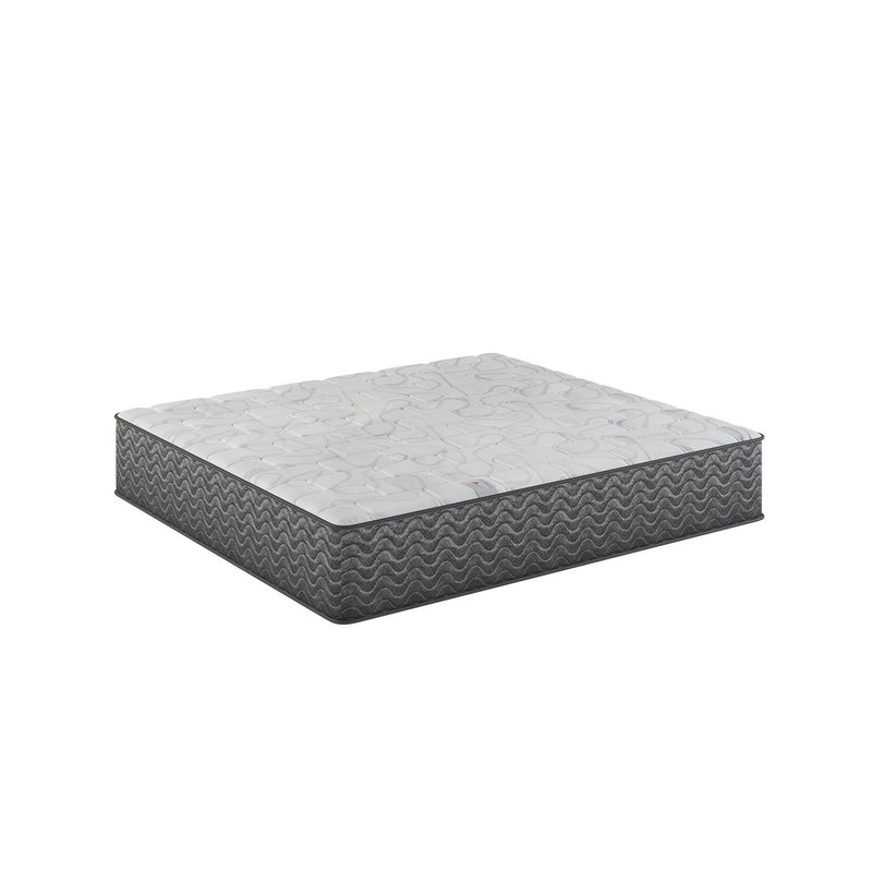 QUEEN BACK BRACER FLIP FIRM MATTRESS-Washburn's Home Furnishings