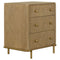 Coaster Arini 3-drawer Nightstand w/Dual USB Ports in Sand Wash-Washburn's Home Furnishings