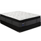 Sealy Queen Ivy Rose Plush PT Mattress-Washburn's Home Furnishings