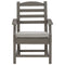 Visola - Gray - Arm Chair With Cushion (2/cn)-Washburn's Home Furnishings