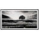 Deborland - Black/white - Wall Art-Washburn's Home Furnishings