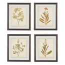 Dyani - Brown - Wall Art Set (4/cn)-Washburn's Home Furnishings