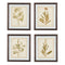 Dyani - Brown - Wall Art Set (4/cn)-Washburn's Home Furnishings