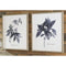 Efren - Blue - Wall Art Set (2/cn)-Washburn's Home Furnishings