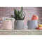 Eider - Pink - Basket-Washburn's Home Furnishings