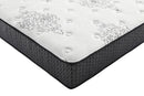 Freya - Plush Mattress - 11.5" Queen Mattress - White And Black-Washburn's Home Furnishings