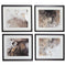 Hallwood - Light Brown - Wall Art Set (4/cn)-Washburn's Home Furnishings