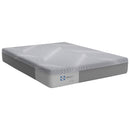 Medina Twin Foam Mattress-Washburn's Home Furnishings