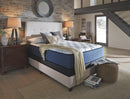 Mt Dana - White - California King Mattress - Plush-Washburn's Home Furnishings