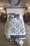 Mt Dana - White - California King Mattress - Plush-Washburn's Home Furnishings